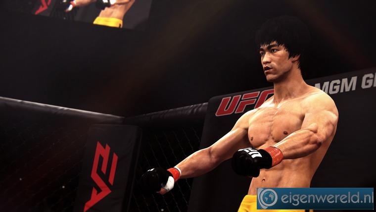 Screenshot van UFC