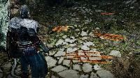 Screenshot van Dark Souls II