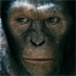 Kingdom of the Planet of the Apes: Epic 