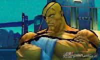 Screenshot van Super Street Fighter IV 3D
